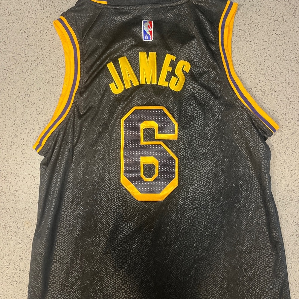 Lebron James Reptile Pattern Jersey